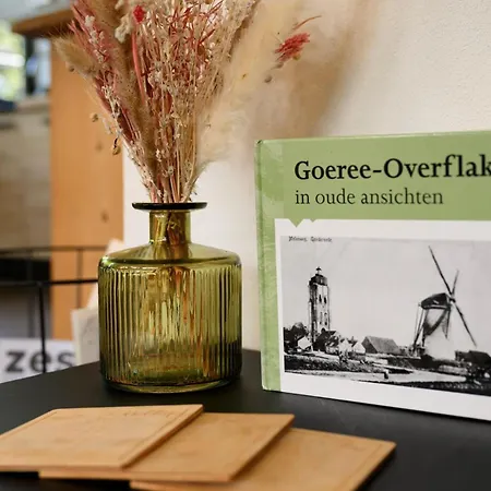 Ferienhaus Horrelshoogte 15 Ouddorp